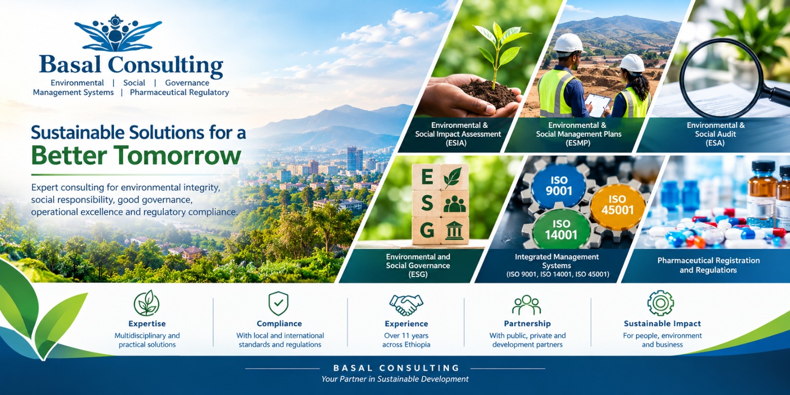 Basal Consultancy Operations